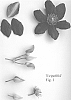 Clematis%20viticella%20%27Evipo084%27