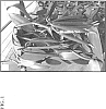 Vanilla%20planifolia%20%27Handa%27