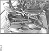 Vanilla%20planifolia%20%27Handa%27