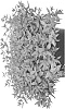 Abelia%20x%20grandiflora%20%27RNTOM%27