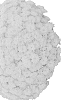 Chrysanthemum%20X%20morifolium%20%27Domsudiyel%27