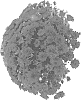Chrysanthemum%20X%20morifolium%20%27Domsuchir%27