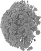 Chrysanthemum%20X%20morifolium%20%27Domsuchir%27