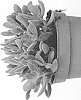 Crassula%20pubescens%20%27EC-CRAS-1802%27