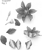 Clematis%20viticella%20%27Evipo099%27