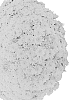 Chrysanthemum%20X%20morifolium%20%27Domdayyel%27