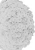 Chrysanthemum%20X%20morifolium%20%27Domdayyel%27