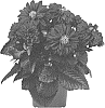 Dahlia%20variabilis%20%27Dodahtempreviol%27