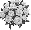 Rosa%20hybrida%20%27KORaroma09%27