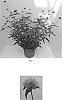 Gomphrena%20pulchella%20%27PAST0517E%27