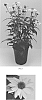 Echinacea%20x%20hybrida%20%27Balsomsolst%27