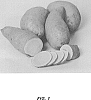 Ipomoea%20batatas%20%28L.%29%20Lam.%20%27LA17-40%27