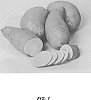 Ipomoea%20batatas%20%28L.%29%20Lam.%20%27LA17-40%27