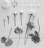 Ranunculus%20asiaticus%20%27ABMENEO%27