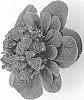 Primula%20vulgaris%20%27KERBELBLIC%27