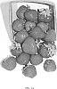 Fragaria%20x%20ananassa%20%27Dickens%27