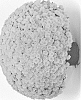 Chrysanthemum%20X%20morifolium%20%27G21SOU04YE%27