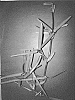 Stenotaphrum%20secundatum%20%28Walt.%29%20Kuntze%20%27FSA1602%27