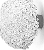 Chrysanthemum%20x%20morifolium%20%27G21SOU01WH%27
