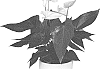 Anthurium%20andraeanum%20L.%20%27ANTHGROXOL%27