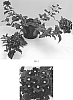 Verbena%20hybrid%20%27Balendurpi2%27