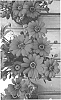 Osteospermum%20ecklonis%20Norl.%20%27KLEOE20555%27