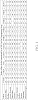 Vitis%20vinifera%20L.%20%27Ambulo%20Blanc%27