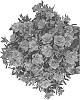 Rhododendron%20hybrid%20%27ROBLEZD%27