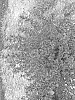 Nepeta%20faassenii%20%27G19213%27