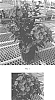Phlox%20paniculata%20%27Balsukafus%27