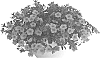 Calibrachoa%20parviflora%20%27Docalalclepi%27