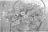 Calibrachoa%20sp.%20%27KLECA19545%27