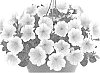 Petunia%20X%20hybrida%20%27Dopetsurye%27