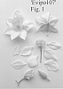 Clematis%20viticella%20%27Evipo107%27