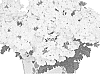 Verbena%20X%20hybrida%20%27Doveremsucowhi%27
