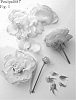 Rosa%20hybrida%20%27Poulpal087%27