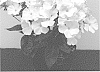 Phlox%20paniculata%20%27Dophlflawhim%27