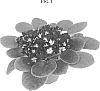 Saintpaulia%20ionantha%20%27OP10664%27