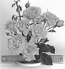 Rosa%20hybrida%20%27WEKausujucton%27