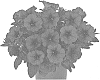 Petunia%20X%20hybirda%20%27Dopetdurapu%27