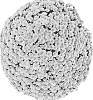 Chrysanthemum%20X%20morifolium%20%27G21VIG05DY%27