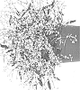 Chamaesyce%20hyperidifolia%20%27Dochastaduclewhi%27