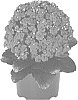 Kalanchoe%20blossfeldiana%20%27Dokaladki%27