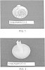 Lentinus%20edodes%20%28Berk%29%20Sing%20%27Chikumasshu%20CS-2%27