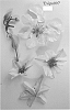 Clematis%20plant%20named%20%27Evipo097%27