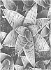 Dracaena%20trifasciata%20%27OSV%20Sans%20001%27