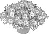Bidens%20ferulifolia%20%27FSK17S42%27