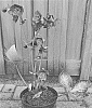 Helleborus%20orientalis%20X%20Helleborus%20ericsmithii%20%27ET%20EPB%201717%27