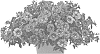 Calibrachoa%20parviflora%20%27Docalraibebu%27