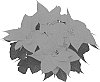 Euphorbia%20pulcherrima%20%27NPCW21350%27